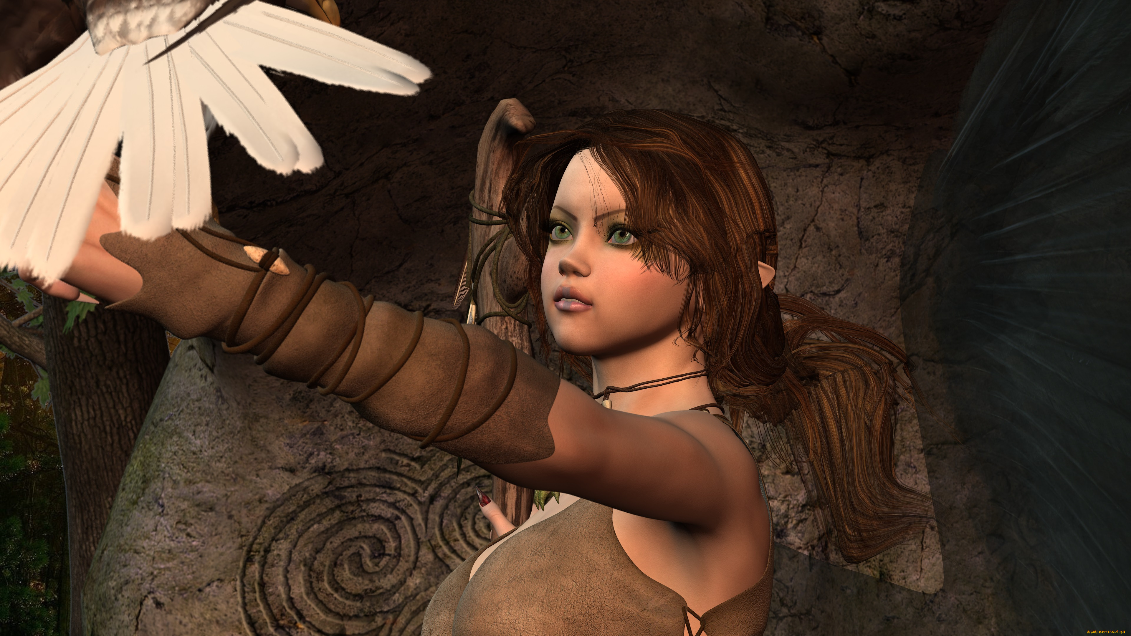 druid, 3 ,  , amazon, , , 